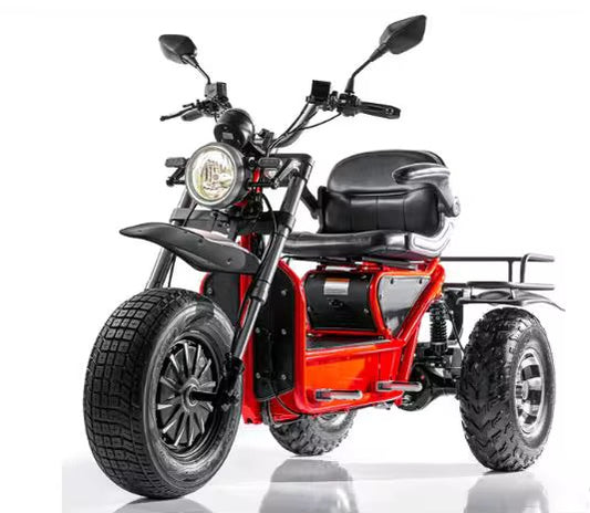 Recreational Mobility Scooter